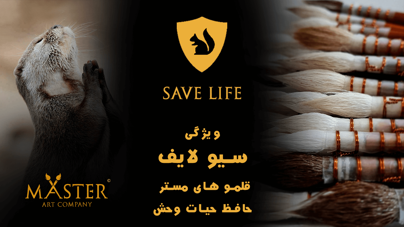 ویژگی سیو لایف شرکت مستر (SAVE LIFE)